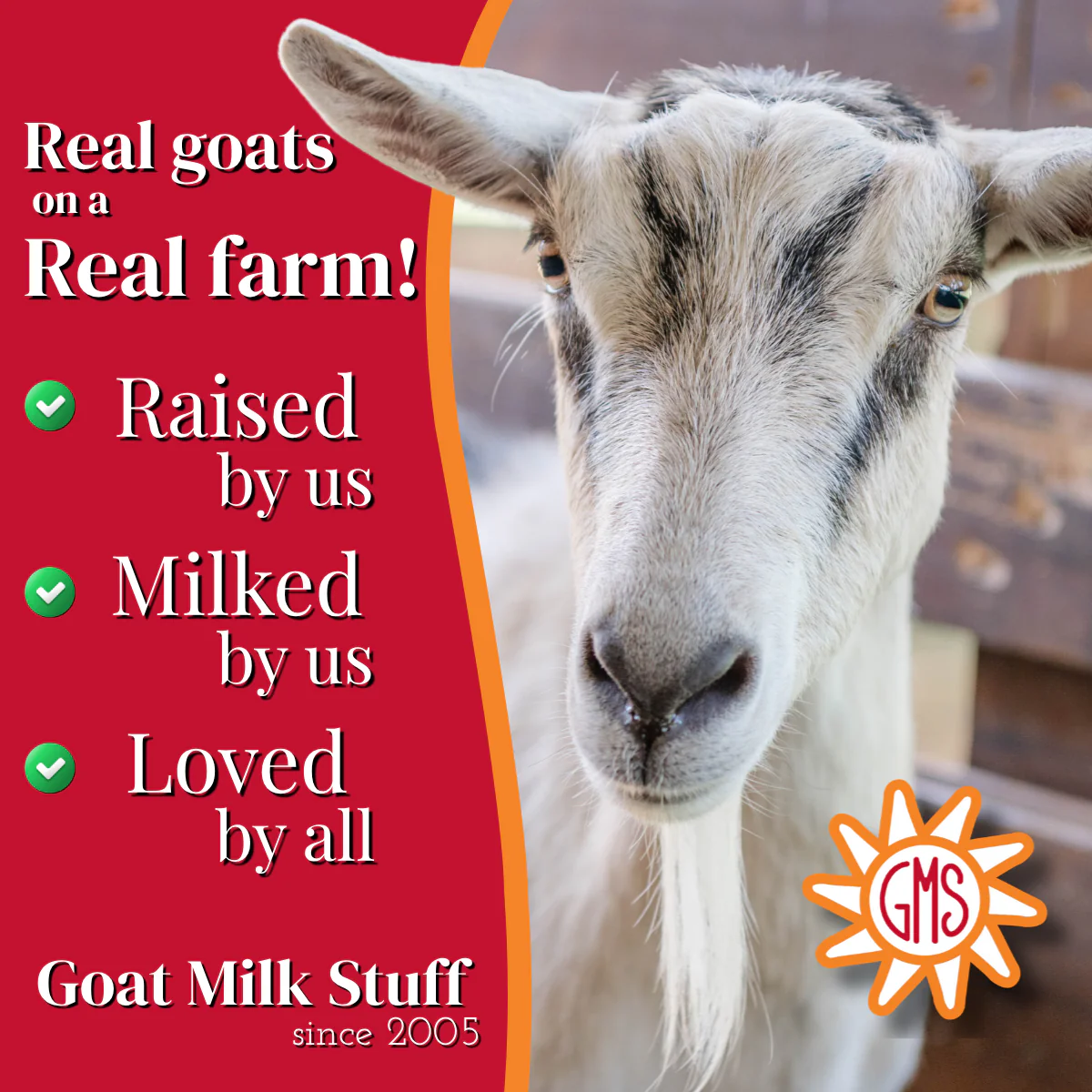 Rosemary Mint Goat Milk Soap - Image 4
