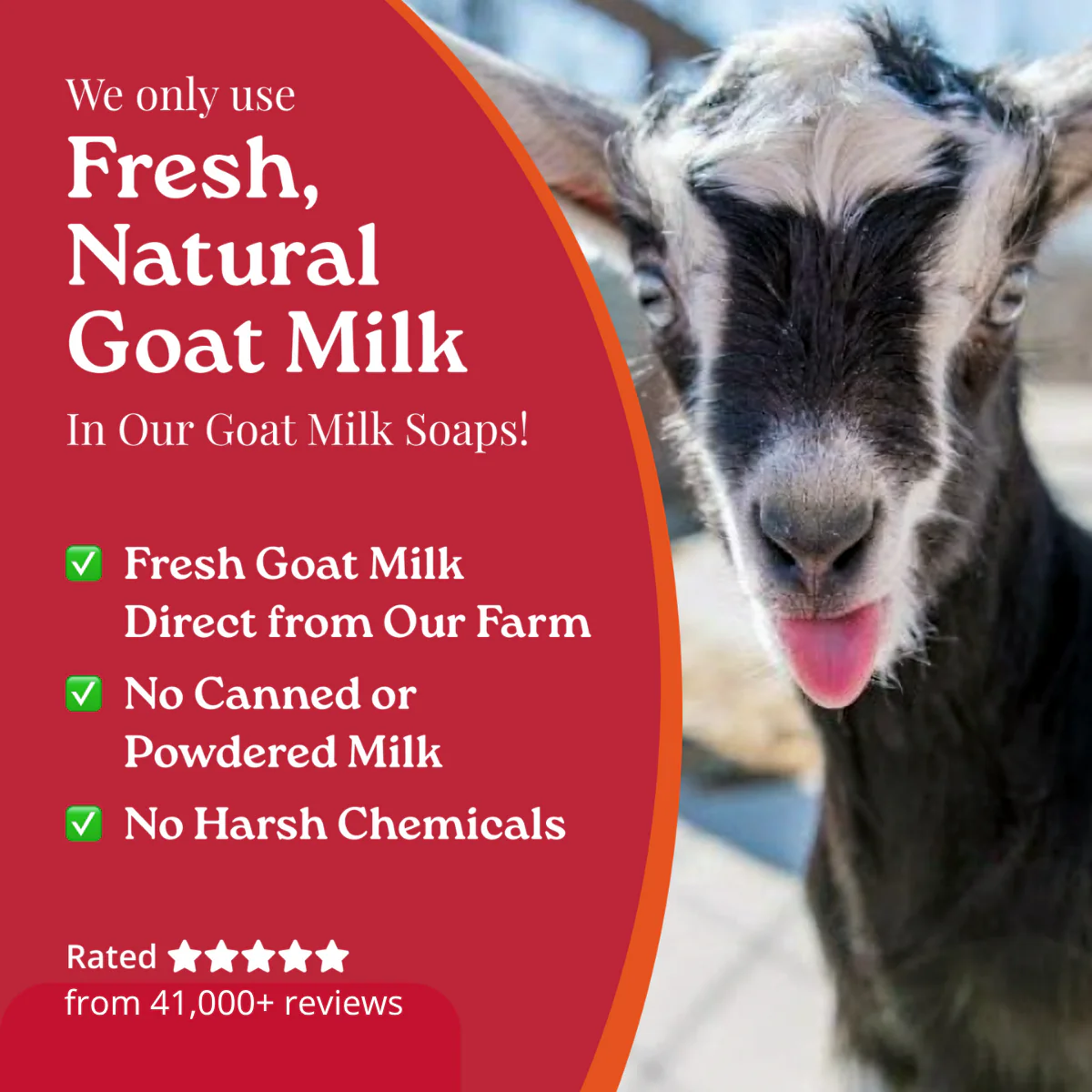 Shampoo Lavender Goat Milk Soap - Image 8